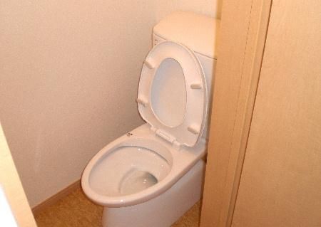 【トイレ】　清潔感のあるトイレは使いやすさを考えています
